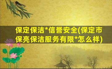 保定保洁*信誉安全(保定市保亮保洁服务有限*怎么样)