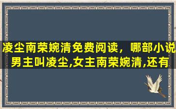 凌尘南荣婉清免费阅读，哪部小说男主叫凌尘,*南荣婉清,还有个叫