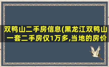 双鸭山二手房信息(黑龙江双鸭山一套二手房仅1万多,当地的房价为何如此低)