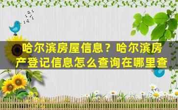 哈尔滨房屋信息？哈尔滨房产登记信息怎么查询在哪里查