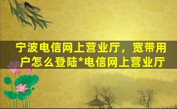 宁波电信网上营业厅，宽带用户怎么登陆*电信网上营业厅