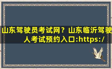 山东驾驶员考试网？山东临沂驾驶人考试预约入口：https：sd.122.gov*