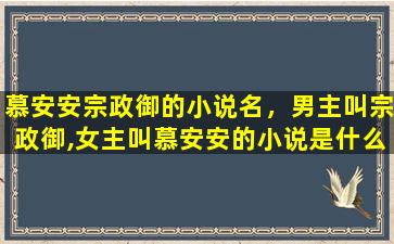 慕安安宗政御的小说名，男主叫宗政御,*叫慕安安的小说是什么叫什么名字