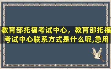 教育部托福考试中心，教育部托福考试中心*是什么呢,急用