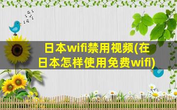 日本wifi禁用视频(在日本怎样使用免费wifi)