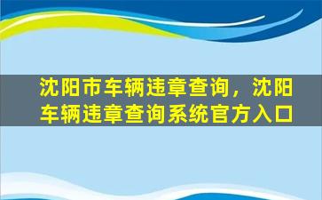 沈阳市车辆违章查询，沈阳车辆违章查询系统官方入口