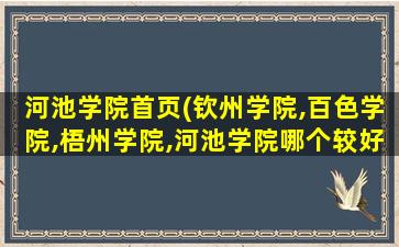 河池学院首页(钦州学院,百色学院,梧州学院,河池学院哪个较好)