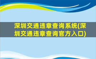 深圳交通违章查询系统(深圳交通违章查询官方入口)