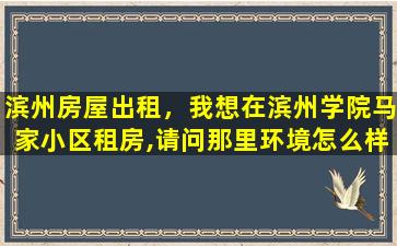 滨州房屋出租，我想在滨州学院马家小区租房,请问那里环境怎么样,安全吗