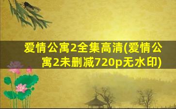 爱情公寓2全集高清(爱情公寓2未删减720p无水印)