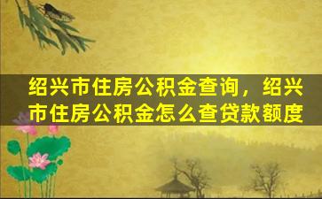 绍兴市住房公积金查询，绍兴市住房公积金怎么查*额度