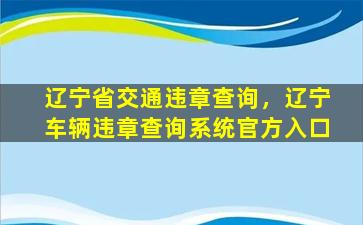 辽宁省交通违章查询，辽宁车辆违章查询系统官方入口