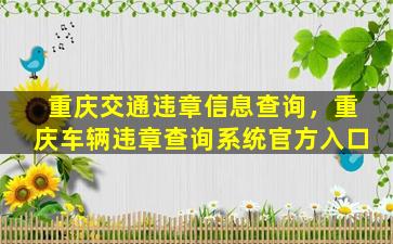 重庆交通违章信息查询，重庆车辆违章查询系统官方入口