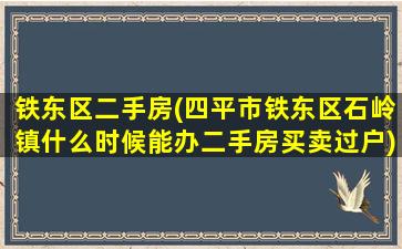 铁东区二手房(四平市铁东区石岭镇什么时候能办二手房买卖过户)