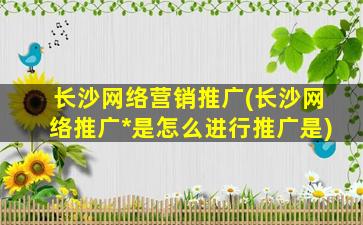 长沙网络营销推广(长沙网络推广*是怎么进行推广是)