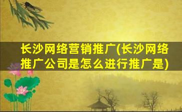 长沙网络营销推广(长沙网络推广*是怎么进行推广是)