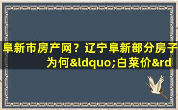 阜新市房产网？辽宁阜新部分房子为何“白菜价”*插图