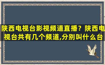 陕西电视台影视频道直播？陕西电视台共有几个频道,分别叫什么台号