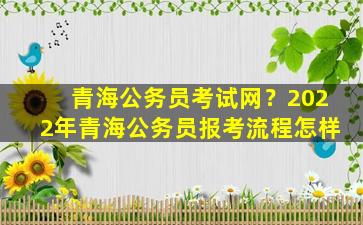 青海公务员考试网？2022年青海公务员报考流程怎样